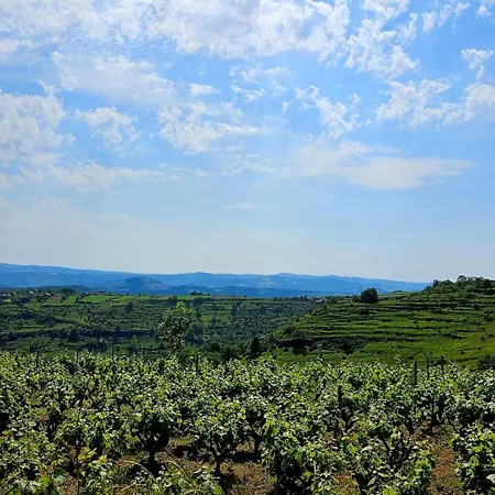 La Petite Maison Bleue Prázdninový dům *